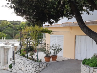 Holiday room with balcony Palit, Rab S-5067-a - Outdoor photo 2