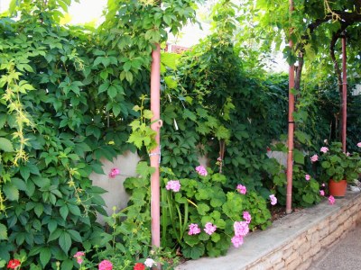 Apartment Two bedroom apartment with balcony Jezera, Murter A-5093-b - Outdoor photo 6