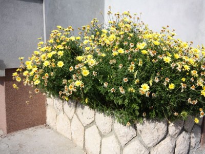 Apartment One bedroom apartment with balcony Kampor, Rab A-4986-b - Outdoor photo 2