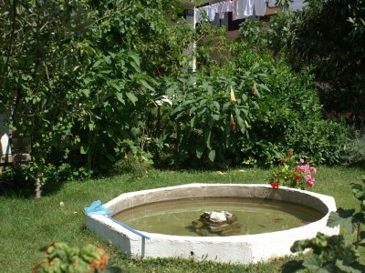 Apartment One bedroom apartment with terrace Vodice A-4180-b - Outdoor photo 6