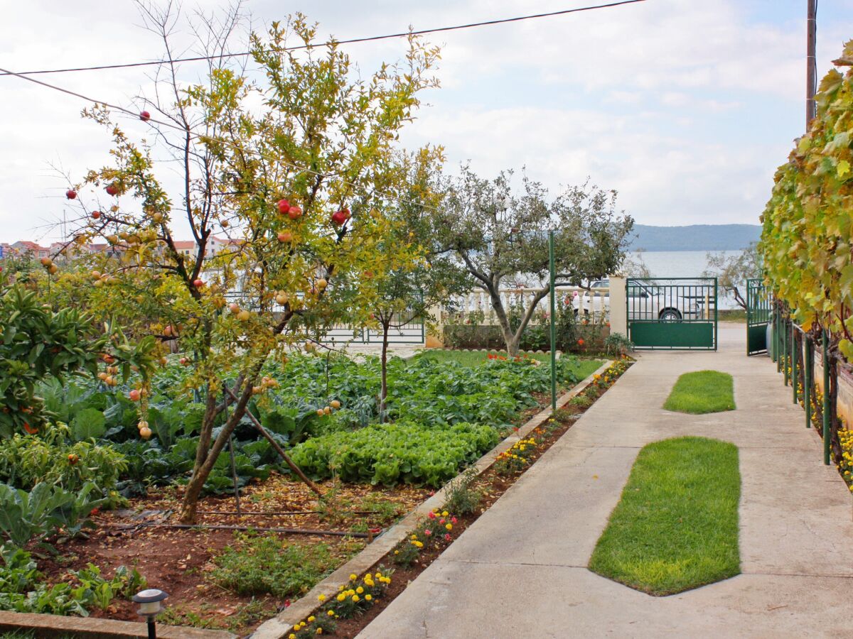 Apartment Studio flat near beach Bibinje, Zadar AS-5866-a - Outdoor photo 4