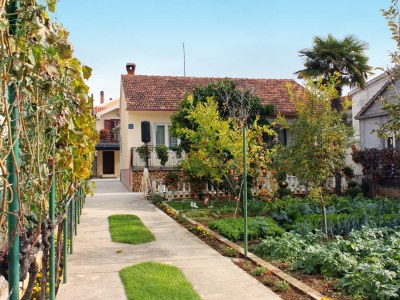 Apartment Studio flat near beach Bibinje, Zadar AS-5866-a - Outdoor photo 2