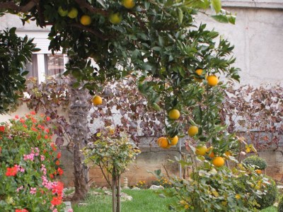 Apartment Studio flat near beach Bibinje, Zadar AS-5866-a - Outdoor photo 6