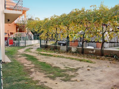 Apartment Studio flat near beach Bibinje, Zadar AS-5866-a - Outdoor photo 10