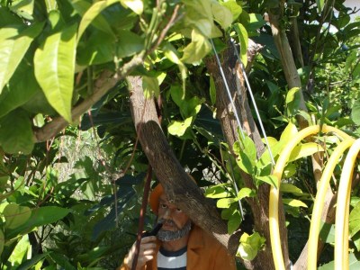 Apartment Studio flat near beach Drvenik Donja vala, Makarska AS-6658-b - Outdoor photo 7