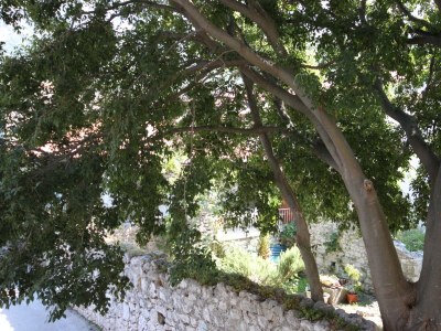 Apartment Studio flat near beach Drvenik Donja vala, Makarska AS-6658-b - Outdoor photo 20