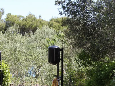 Apartment One bedroom apartment with terrace and sea view Tkon, Pašman A-6215-b - Outdoor photo 7