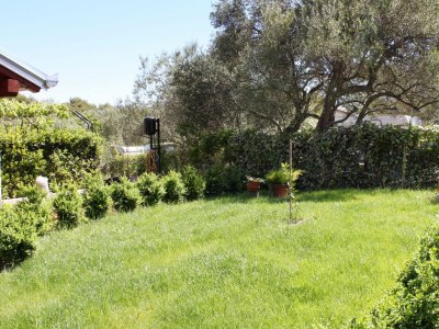 Apartment One bedroom apartment with terrace and sea view Tkon, Pašman A-6215-b - Outdoor photo 13