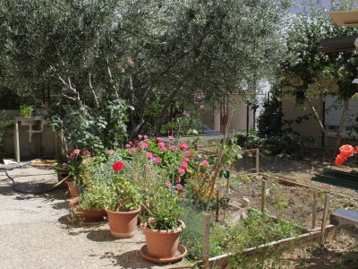 Apartment Studio flat with balcony Makarska AS-6850-b - Outdoor photo 7