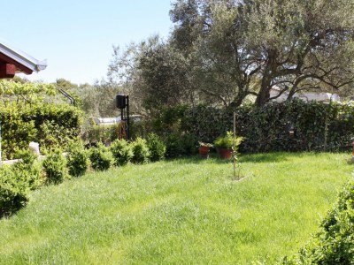 Apartment One bedroom apartment with terrace and sea view Tkon, Pašman A-6215-c - Outdoor photo 12