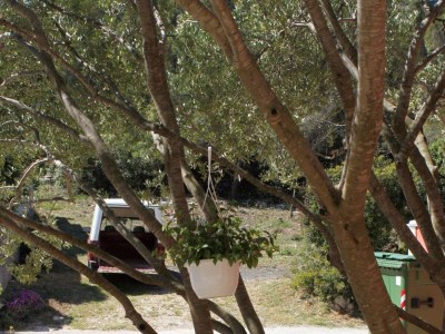 Apartment One bedroom apartment with terrace and sea view Tkon, Pašman A-6215-d - Outdoor photo 11