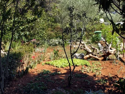 Apartment One bedroom apartment with terrace and sea view Brgulje, Molat A-6241-b - Outdoor photo 8