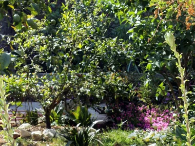 Apartment One bedroom apartment with terrace and sea view Brgulje, Molat A-6241-b - Outdoor photo 10