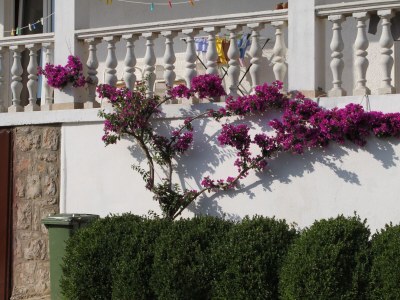 Apartment One bedroom apartment with terrace and sea view Starigrad, Paklenica A-6587-b - Outdoor photo 7