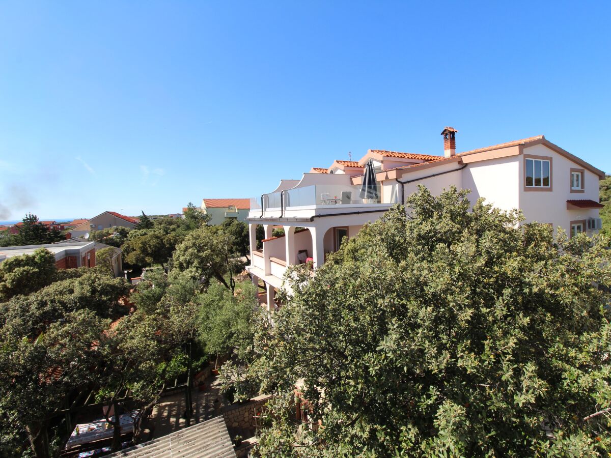 Apartment Studio flat with terrace and sea view Mandre, Pag AS-6309-a - Outdoor photo 2