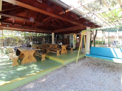 Apartment Studio flat with terrace and sea view Mandre, Pag AS-6309-a - Outdoor photo 7