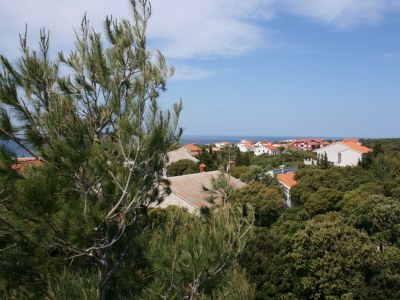 Apartment Studio flat with terrace and sea view Mandre, Pag AS-6309-a - Outdoor photo 27