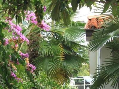 Apartment Two bedroom apartment with terrace and sea view Rabac, Labin A-7474-a - Outdoor photo 8