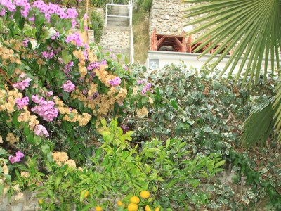 Apartment Two bedroom apartment with terrace and sea view Rabac, Labin A-7474-b - Outdoor photo 10