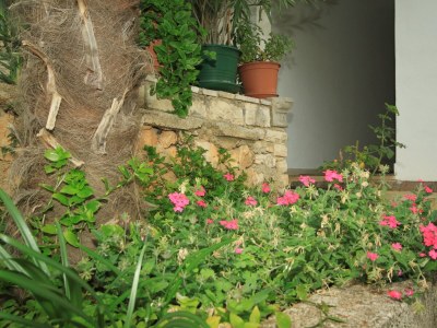 Apartment Two bedroom apartment with terrace and sea view Rabac, Labin A-7474-b - Outdoor photo 11