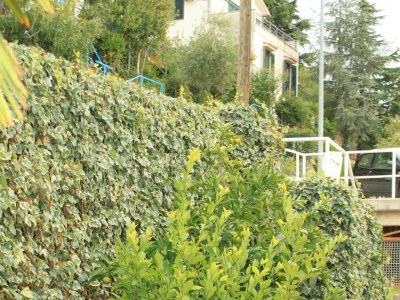 Apartment Two bedroom apartment with terrace and sea view Rabac, Labin A-7474-b - Outdoor photo 12