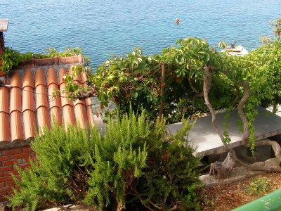 Apartment One bedroom apartment near beach Seget Vranjica, Trogir A-7508-a - Outdoor photo 2