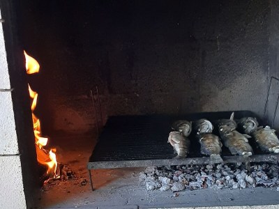 Apartment One bedroom apartment near beach Seget Vranjica, Trogir A-7508-a - Outdoor photo 8