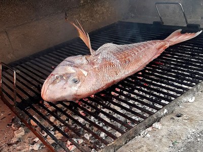 Apartment One bedroom apartment near beach Seget Vranjica, Trogir A-7508-a - Outdoor photo 9