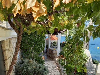 Apartment One bedroom apartment near beach Sobra, Mljet A-7531-d - Outdoor photo 8