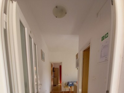 Apartment One bedroom apartment near beach Sobra, Mljet A-7531-d - Outdoor photo 28