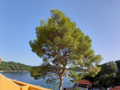 Apartment One bedroom apartment near beach Sobra, Mljet A-7531-d - Outdoor photo 30