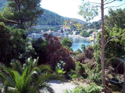 Apartment One bedroom apartment near beach Sobra, Mljet A-7531-d - Outdoor photo 33