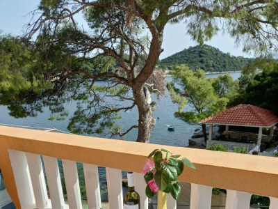 Apartment One bedroom apartment near beach Sobra, Mljet A-7531-d - Outdoor photo 34