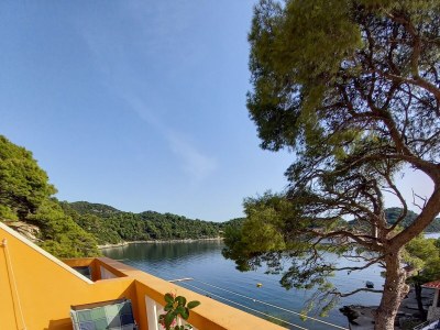 Apartment Studio flat near beach Sobra, Mljet AS-7531-c - Outdoor photo 29