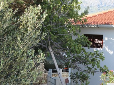 Apartment One bedroom apartment near beach Kustići, Pag A-6335-d - Outdoor photo 6