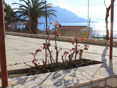 Apartment Apartments by the sea Dugi Rat, Omiš - 7575 - Outdoor photo 6