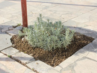 Apartment Apartments by the sea Dugi Rat, Omiš - 7575 - Outdoor photo 7