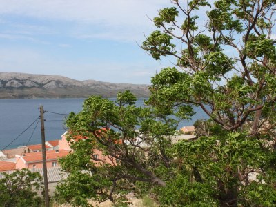 Apartment One bedroom apartment with terrace and sea view Metajna, Pag A-6421-a - Outdoor photo 20