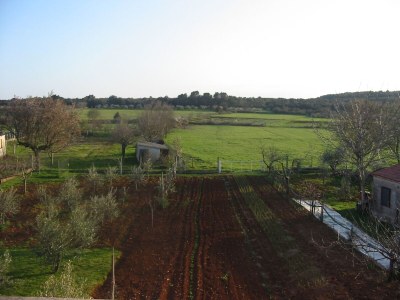 Apartment One bedroom apartment with terrace Pula A-7420-a - Outdoor photo 3