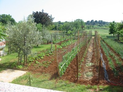 Apartment One bedroom apartment with terrace Pula A-7420-a - Outdoor photo 24