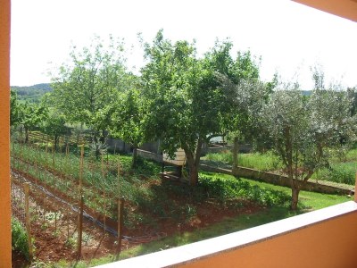 Apartment One bedroom apartment with terrace Pula A-7420-a - Outdoor photo 25