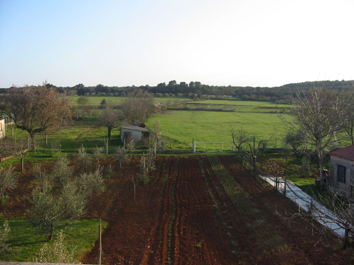 Apartment Two bedroom apartment with terrace Pula A-7420-b - Outdoor photo 4