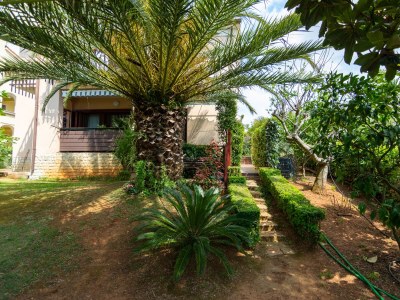 Apartment One bedroom apartment with terrace Medulin A-7657-b - Outdoor photo 11