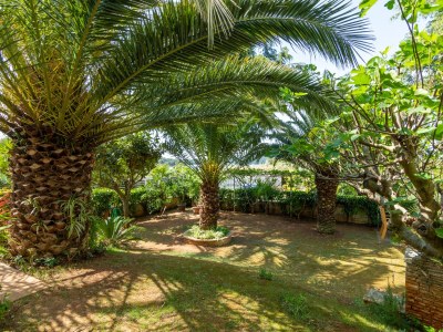 Apartment One bedroom apartment with terrace Medulin A-7657-b - Outdoor photo 16