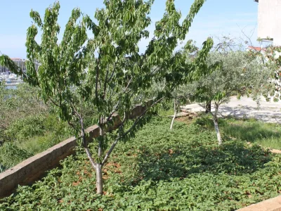 Apartment One bedroom apartment with balcony and sea view Pula A-7681-b - Outdoor photo 7