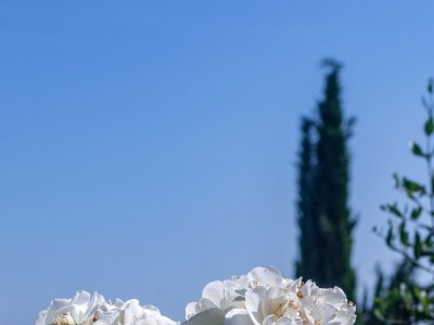 Apartment Two bedroom apartment with terrace and sea view Medveja, Opatija A-7720-b - Outdoor photo 18