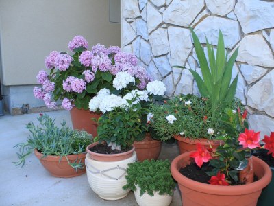 Apartment Two bedroom apartment with terrace Punta križa, Cres A-8082-a - Outdoor photo 7