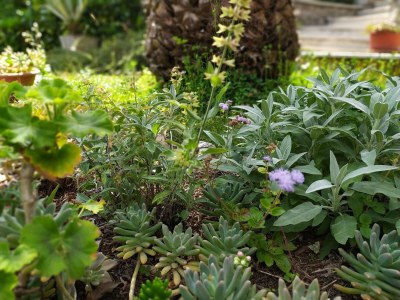 Apartment One bedroom apartment near beach Medveja, Opatija A-7722-b - Outdoor photo 16