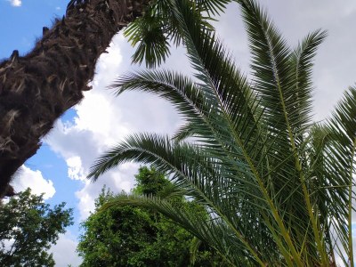 Apartment One bedroom apartment near beach Medveja, Opatija A-7722-b - Outdoor photo 18