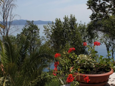 Apartment One bedroom apartment near beach Medveja, Opatija A-7722-b - Outdoor photo 34